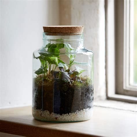 Terrarium Glass Jar With Cork Lid: A Miniature Green Oasis for Your Home